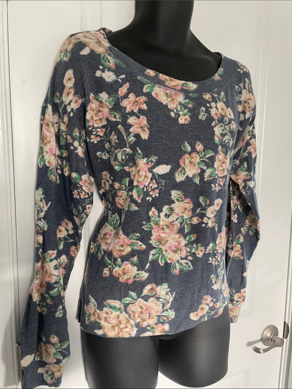 Anthropologie Floral Long Sleeve Top - Blue and Pink